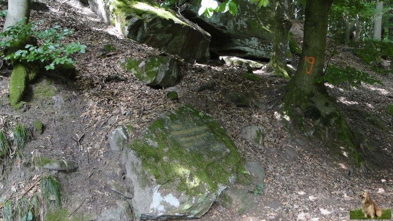 Ritterstein Nr. 240-3 Höhle - Bürgermeisterstein - Spätmittelalter - Hausmarken.JPG - Ritterstein Nr.240 Höhle - Bürgermeisterstein - Spätmittelalter - Hausmarken